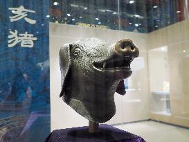 Exhibition of Animal Head Bronze Statues at the Old Summer Palace Museum in Beijing