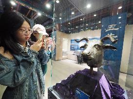 Exhibition of Animal Head Bronze Statues at the Old Summer Palace Museum in Beijing