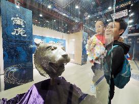 Exhibition of Animal Head Bronze Statues at the Old Summer Palace Museum in Beijing