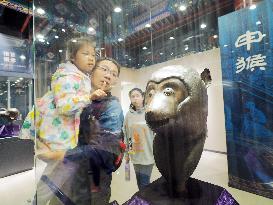 Exhibition of Animal Head Bronze Statues at the Old Summer Palace Museum in Beijing