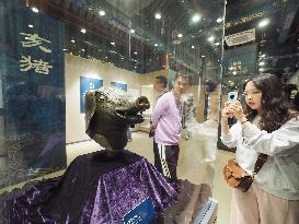 Exhibition of Animal Head Bronze Statues at the Old Summer Palace Museum in Beijing