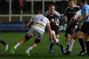 Newcastle Falcons v Gloucester Rugby - Gallagher Premiership