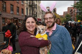 Tompkins Square Halloween Dog Parade