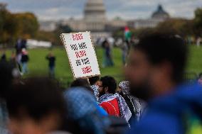 Pro-Palestine Demonstration On National Mall