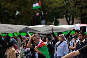 Pro-Palestine Demonstration On National Mall