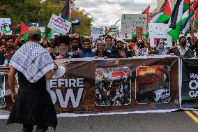 Pro-Palestine Demonstration On National Mall