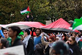 Pro-Palestine Demonstration On National Mall