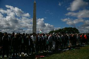 Pro-Palestine Demonstration On National Mall