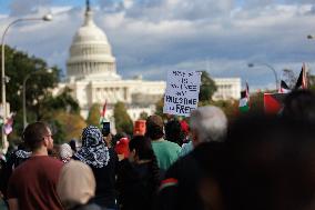 Pro-Palestine Demonstration On National Mall