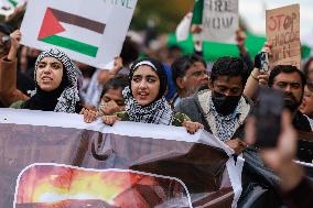 Pro-Palestine Demonstration On National Mall