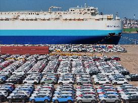 Vehicles Export in Yantai Port
