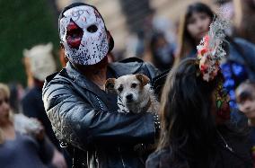 Zombie Walk In Mexico