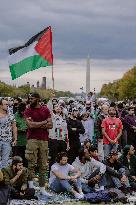 Pro-Palestinian Rally - Washington