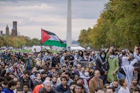 Pro-Palestinian Rally - Washington