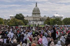 Pro-Palestinian Rally - Washington