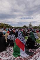 Pro-Palestinian Rally - Washington