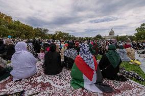 Pro-Palestinian Rally - Washington