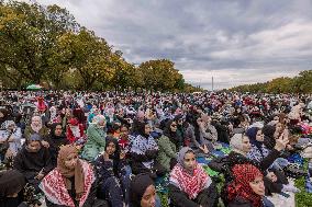 Pro-Palestinian Rally - Washington