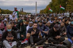 Pro-Palestinian Rally - Washington