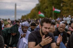 Pro-Palestinian Rally - Washington