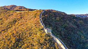 CHINA-BEIJING-GREAT WALL-AUTUMN SCENERY (CN)