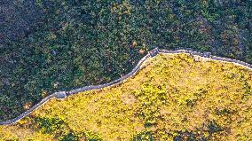 CHINA-BEIJING-GREAT WALL-AUTUMN SCENERY (CN)