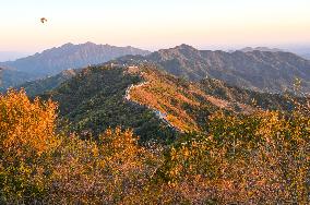 CHINA-BEIJING-GREAT WALL-AUTUMN SCENERY (CN)