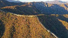 CHINA-BEIJING-GREAT WALL-AUTUMN SCENERY (CN)