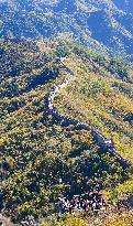 CHINA-BEIJING-GREAT WALL-AUTUMN SCENERY (CN)