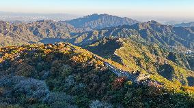 CHINA-BEIJING-GREAT WALL-AUTUMN SCENERY (CN)