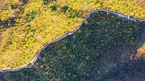 CHINA-BEIJING-GREAT WALL-AUTUMN SCENERY (CN)