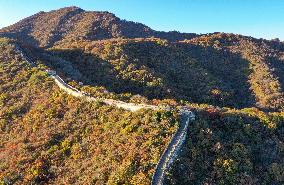 CHINA-BEIJING-GREAT WALL-AUTUMN SCENERY (CN)