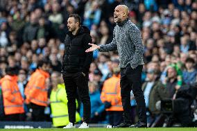 Manchester City v Brighton and Hove Albion - Premier League