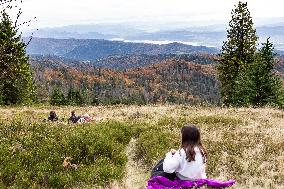 Tourist Visit Gorce Mountains In Poland