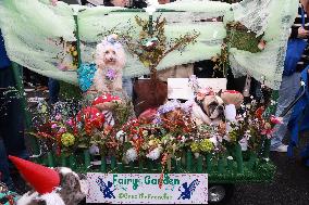 Tompkins Square Halloween Dog Parade