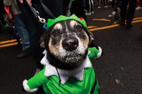 Tompkins Square Halloween Dog Parade