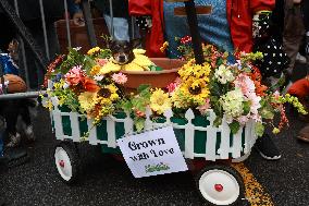 Tompkins Square Halloween Dog Parade