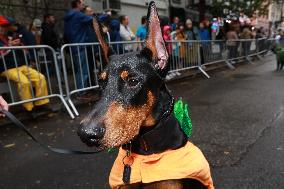 Tompkins Square Halloween Dog Parade