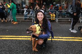 Tompkins Square Halloween Dog Parade