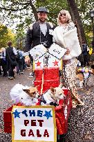 Halloween Dog Parade - NYC