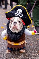 Halloween Dog Parade - NYC