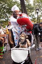 Halloween Dog Parade - NYC