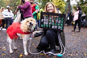 Halloween Dog Parade - NYC