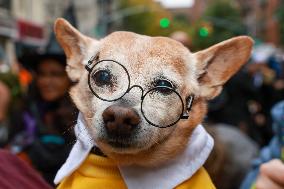 Tompkins Square Halloween Dog Parade