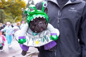 Halloween Dog Parade - NYC