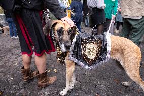 Halloween Dog Parade - NYC