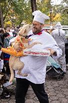 Halloween Dog Parade - NYC