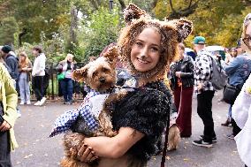 Halloween Dog Parade - NYC