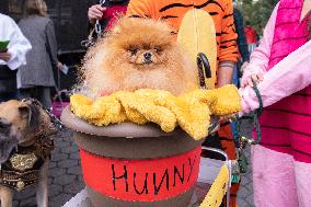 Halloween Dog Parade - NYC