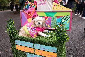 Halloween Dog Parade - NYC